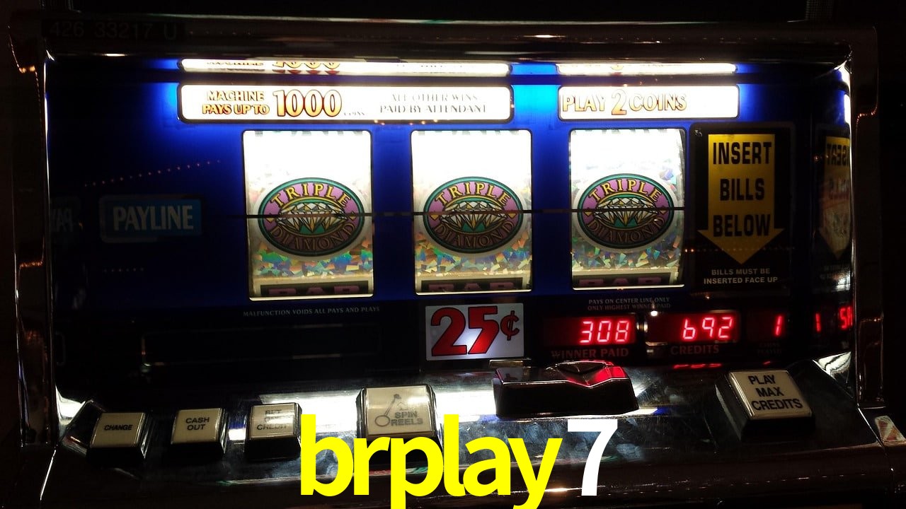 Sports Statistics brplay7